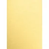 Outlet 13" x 19" Cardstock, Gold Metallic, 50/pack (1319-C-M40-50) Card Stock