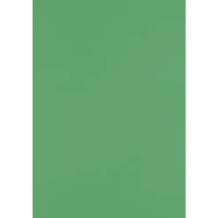 Best 12" x 18" Cardstock, Holiday Green, 50/pack (1218-C-L17-50) Card Stock