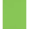 Clearance 8.5” x 11” Cardstock, 100lb, Limelight, 50/pack (81211-C-199-50) Card Stock