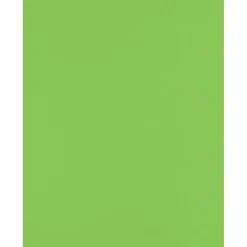 Clearance 8.5” x 11” Cardstock, 100lb, Limelight, 50/pack (81211-C-199-50) Card Stock