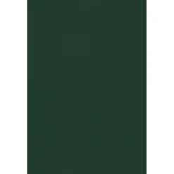 Clearance 11" x 17" Cardstock, 100lb, Green Linen, 50/pack (1117-C-GNLI-50) Card Stock