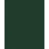 Discount 8.5" x 11" Color Cardstock, Green Linen, 50/pack (81211-C-GNLI-50) Card Stock