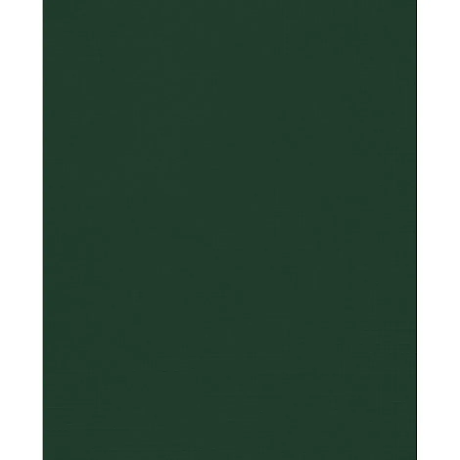 Discount 8.5" x 11" Color Cardstock, Green Linen, 50/pack (81211-C-GNLI-50) Card Stock