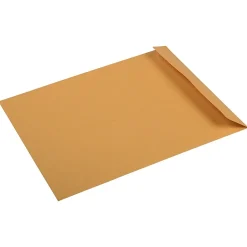 JAM Paper 10 x 13 Kraft Open End Catalog Premium Envelopes, Manila, Bulk 250/Box (96268H)* Catalog