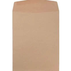 JAM Paper 9" x 12" Kraft Open End Catalog Envelopes, Brown Kraft Paper Bag, 10/Pack (38288)* Catalog