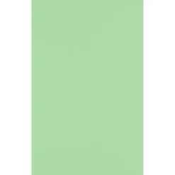 Discount 11" x 17" Multipurpose Paper, 60 lbs., Pastel Green, 50/Pack (1117-P-67-50) Multipurpose Paper