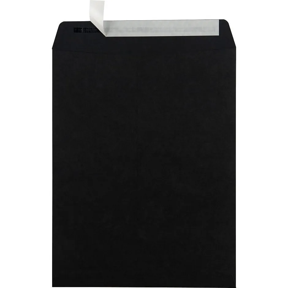 JAM Paper 10" x 13" Open End Catalog Envelopes, Black, 25/Pack (87733a)* Catalog