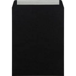 JAM Paper 10" x 13" Open End Catalog Envelopes, Black, 50/Pack (87733i)* Catalog
