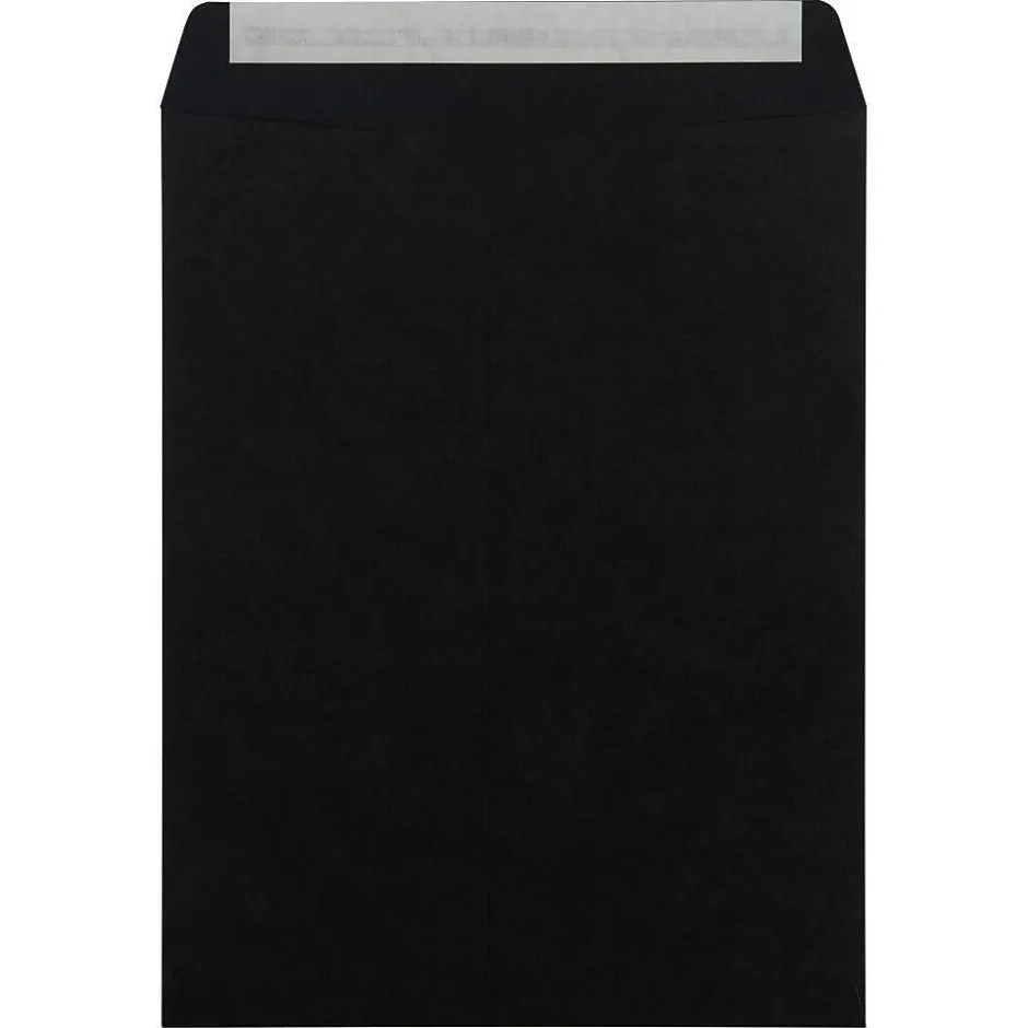JAM Paper 10" x 13" Open End Catalog Envelopes, Black, 50/Pack (87733i)* Catalog