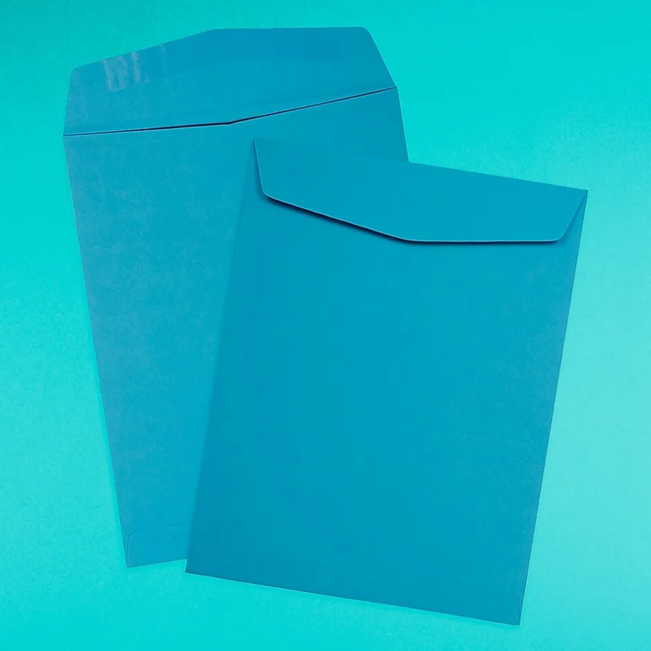 JAM Paper 10" x 13" Open End Catalog Colored Envelopes, Blue Recycled, 10/Pack (87725B)* Catalog