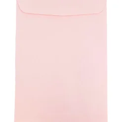 JAM Paper 6" x 9" Open End Catalog Envelopes, Baby Pink, 10/Pack (51285797B)* Catalog