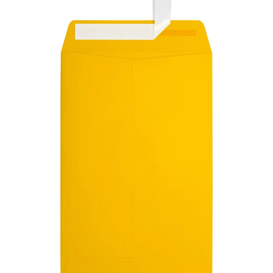 JAM Paper 6 x 9 Open End Envelopes, Sunflower Yellow, 50 Pack (EX1644-12-50)* Business