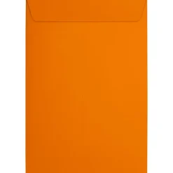 JAM Paper 6 x 9 Open End Envelopes ,Mandarin Orange, 50 Pack, Orange (EX1644-11-50)* Business