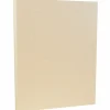 Sale 8.5" x 11" Parchment Cardstock, 65lb, Natural, 100/pack (171116G) Card Stock