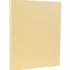 Discount 8.5" x 11" Parchment Cardstock, 65lb, Antique Gold, 100/pack (27179G) Card Stock