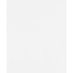 Hot 8.5" x 11" Premium Cardstock, 110lb, White, 50/pack (81211-C-WPC-50) Card Stock