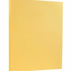 Outlet 8.5" x 11" Vellum Bristol Index Cardstock, 100lb, Buff, 100/pack (169854G) Card Stock