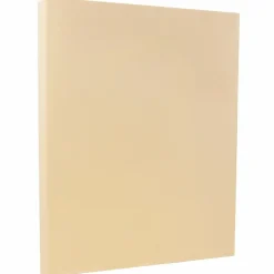 Outlet 8.5" x 11" Vellum Bristol Cardstock, 67lb, Ivory, 100/pack (169828G) Card Stock