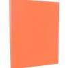 8.5" x 11" Vellum Bristol Cardstock, 67lb, Salmon, 100/pack (169832G) Card Stock