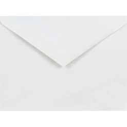 JAM Paper A6 Invitation Envelopes with V-Flap, 4.75 x 6.5, White, 25/Pack (J0567)* Business