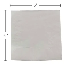 Napkins<JAM Paper Beverage Napkin, 2-ply, Silver, 50 Napkins/Pack (255628826)