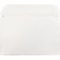 JAM Paper Booklet Envelope 6 1/2" x 9 1/2", White, 100/Pack (4241d)* Business