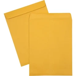 JAM Paper Catalog Envelope 10