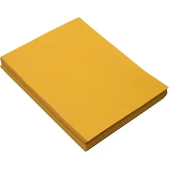 JAM Paper Catalog Envelope 10