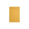 JAM Paper Catalog Envelope 6" x 9", Brown Kraft, 50/Pack (1693-50)* Catalog
