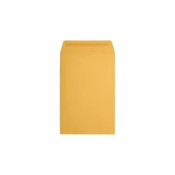 JAM Paper Catalog Envelope 6" x 9", Brown Kraft, 50/Pack (1693-50)* Catalog