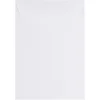 JAM Paper Catalog Envelope 7" x 10" ,White, 100/Pack (1623194d)* Catalog