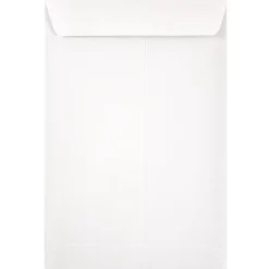 JAM Paper Catalog Envelope 6" x 9", White, 100/Pack (1623192d)* Catalog