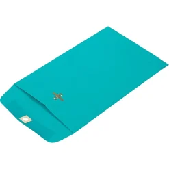 JAM Paper Clasp Catalog Envelope 6