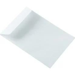 JAM Paper Commercial Open End Catalog Envelopes, 6 1/2