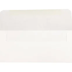 JAM Paper Currency Envelope, 3" x 6 11/16", White, 50/Pack (216313691H)* Business