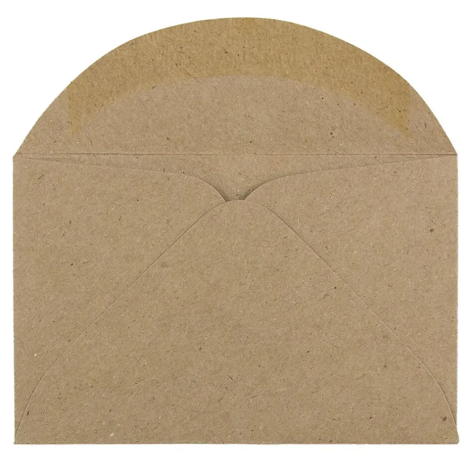 JAM Paper 3Drug Mini Recycled Kraft Envelopes, 2.3125 x 3.625, Brown Kraft Paper Bag, 100/Pack (5207691A)* Business