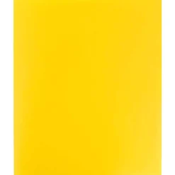 JAM Paper Heavy Duty 2-Pocket Plastic Folders, , 6/Pack (383HYED) Yellow Hot