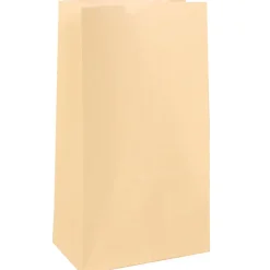 JAM Paper Kraft Lunch Bags, Medium, 5" x 9.75" x 3", Ivory Kraft, Bulk 500 Bags/Box (691KRIVB) Clearance