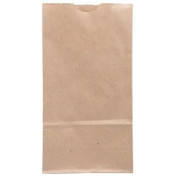 Lunch Boxes & Bags<JAM Paper Kraft Lunch Bags, Brown, 25/Pack (690KRBR)