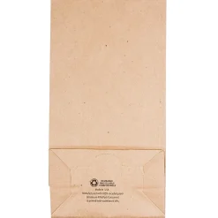 JAM Paper Kraft Lunch Bags, Medium, 9.75
