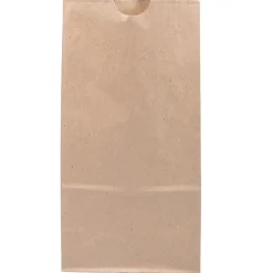 JAM Paper Kraft Lunch Bags, Medium, 5" x 9.75" x 3", Brown Kraft Recycled, Bulk 500 Bags/Box (691KRBRB) Clearance