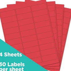JAM Paper Laser/Inkjet Address Labels, 1" x 2 5/8", , 30 Labels/Sheet, 4 Sheets/Pack (4514939)* Address Labels