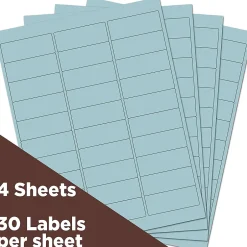JAM Paper Laser/Inkjet Address Label, 1" x 2 5/8", , 30 Labels/Sheet, 4 Sheets/Pack (4052894)* Address Labels