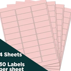 JAM Paper Laser/Inkjet Address Label, 1" x 2 5/8", , 30 Labels/Sheet, 4 Sheets/Pack (4052895)* Address Labels