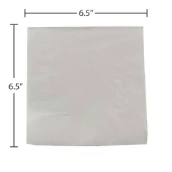 Napkins<JAM Paper Lunch Napkin, 2-ply, Silver, 50 Napkins/Pack (255628827)
