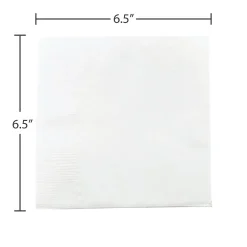 Napkins<JAM Paper Medium Lunch Napkins, 2-Ply, White, 50 Napkins/Pack (6255620732)