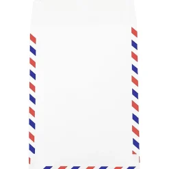 JAM Paper Open End Catalog Envelope, 9