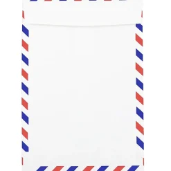 JAM Paper Open End Catalog Envelope, 6" x 9", White, 25/Pack (1430743)* Catalog