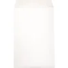 JAM Paper Open End Catalog Envelope, 6" x 9", White, 50/Pack (1623192I)* Catalog