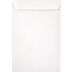 JAM Paper Open End Catalog Envelope, 6" x 9", White, 50/Pack (1623192I)* Catalog